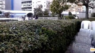 一级欧美黄大片_欧美亚洲精品成人视频